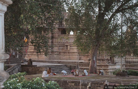 KHAJURAHO - Templi del gruppo occidentale - uomini indiani sotto il grande albero e sullo sfondo il Matangesvara Temple 