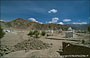 LADAKH - HIMALAYA. Shey - nei campi circostanti lo Shey Gompa sono disseminati numerosi stupa