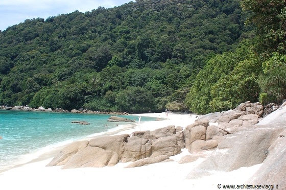 TURTLE BEACH - La bellezza del 