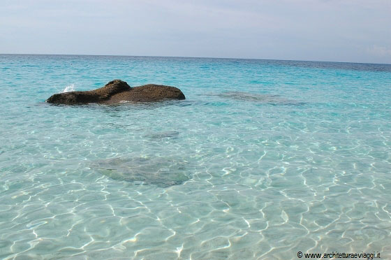 TURTLE BEACH - Acque turchesi e trasperenti, foresta pluviale tropicale, spiaggia bianchissima sono gli ingredienti della 