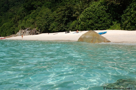 TURTLE BEACH - E' evidente la trasparenza e la limpidezza di questo mare