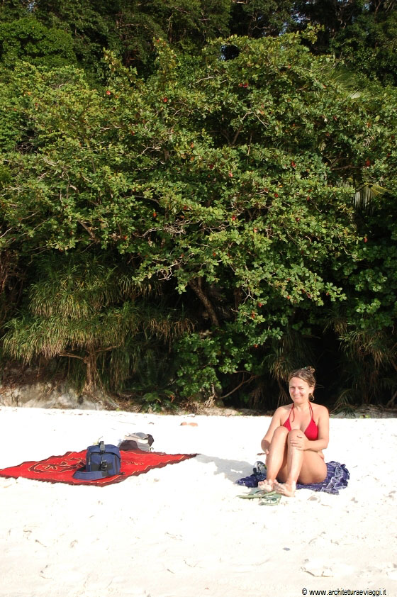 TURTLE BEACH - Altro che 