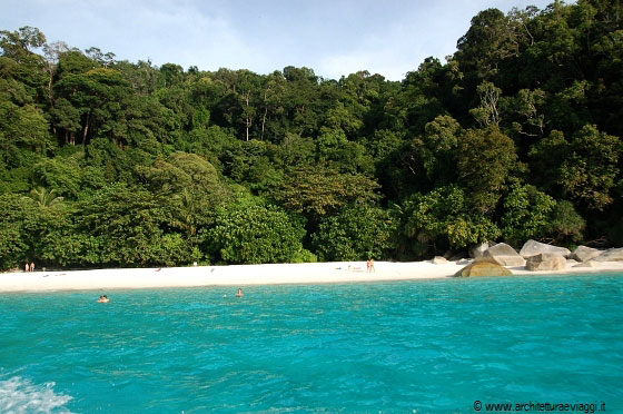ISOLE PERHENTIAN - Ciao Turtle Beach, arrivederci!