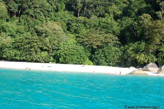 TURTLE BEACH - Solo colori naturali e intensi, il verde della giungla, il bianco della sabbia e il turchese del mare, l'ideale per il completo relax fisico e psichico