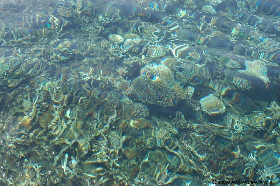 RAWA ISLAND - Gli appassionati di snorkelling non rimarranno delusi