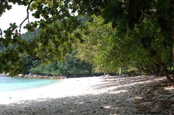 TURTLE BEACH - Paradiso tropicale di indiscutibile bellezza