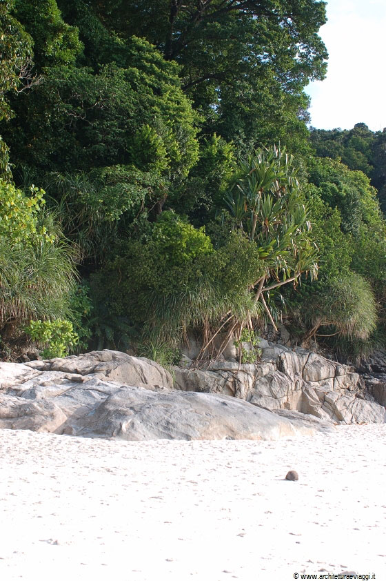 PULAU PERHENTIAN BESAR - Dal sole splendente si può trovare rifugio sotto la folta vegetazione
