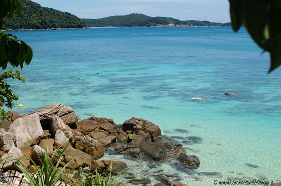 ISOLE PERHENTIAN - Facendo snorkelling si possono vedere pesci pappagallo, squali grigi del reef e tante altre creature tropicali