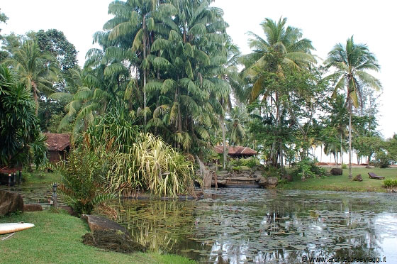 COSTA EST - Cherating, ultimi giorni di vacanza