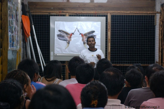 CHERATING - Prendiamo parte ad un'escursione notturna in barca per avvistare le lucciole