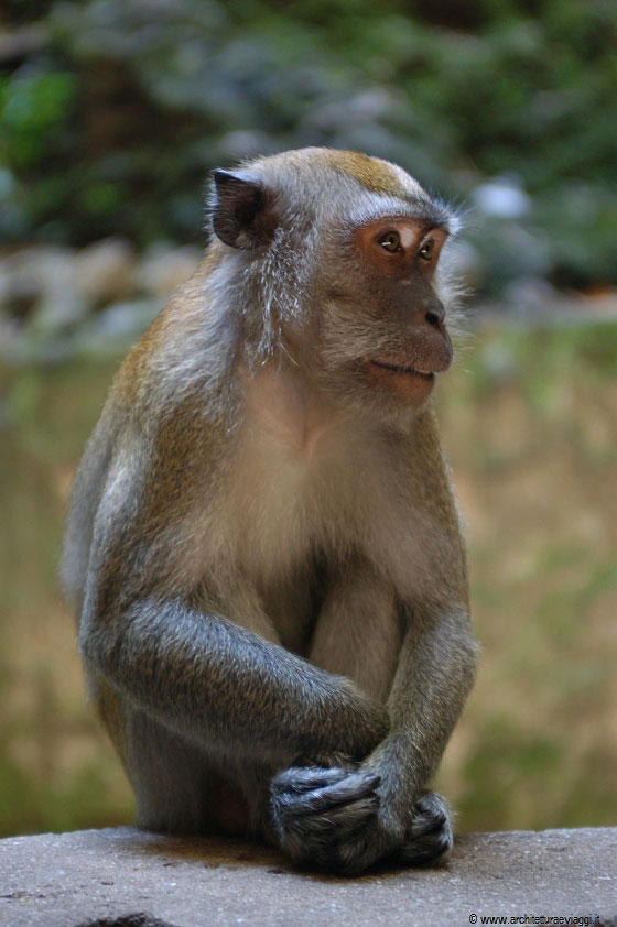GROTTE BATU - Assorto