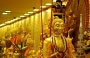 WATERLOO STREET. Buddha dorati in un negozio all'interno del Fu Lu Shou Complex