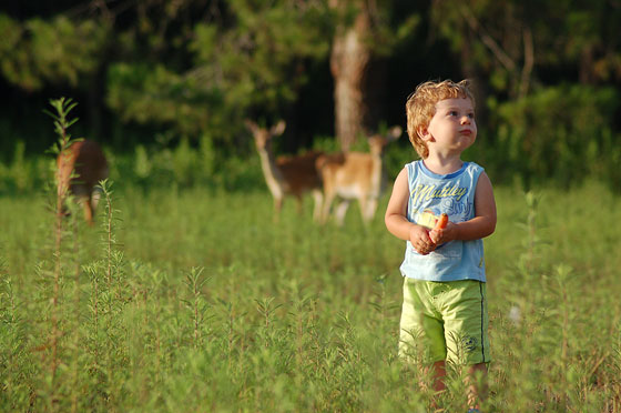 PINETA DELLA FENIGLIA - Luca e i daini