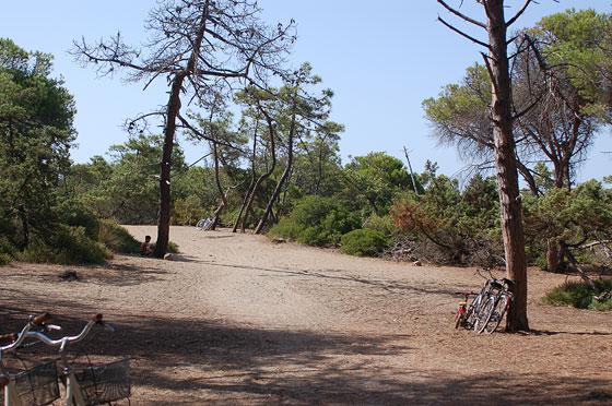 PINETA DELLA FENIGLIA - Il terzo accesso al mare era il nostro preferito