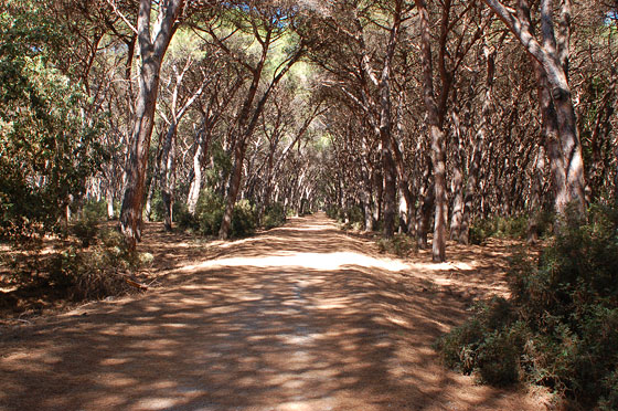BASSA MAREMMA - Un territorio tutto da scoprire con tanti parchi e riserve naturali