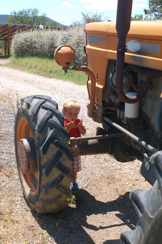 AGRITURISMO MONTEPOZZALINO - Vita di campagna a 17 km dal mare