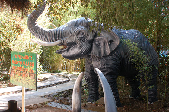 CAVALLINO MATTO - Safari Adventures