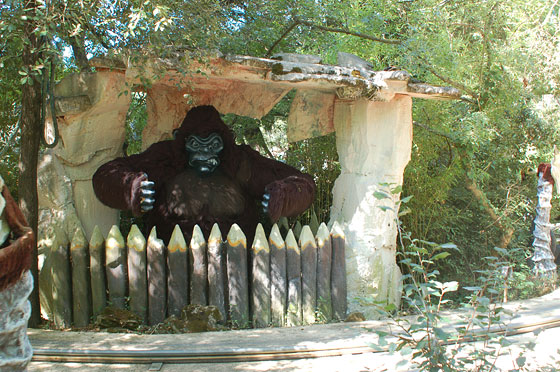 MAREMMA LIVORNESE - Attenti al gorilla nel Safari Adventures