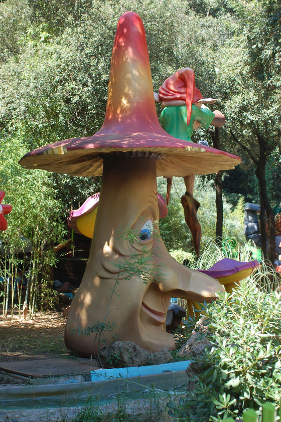 CANOA DELLE FAVOLE - Il fungo magico spicca in questo percorso di fiabe