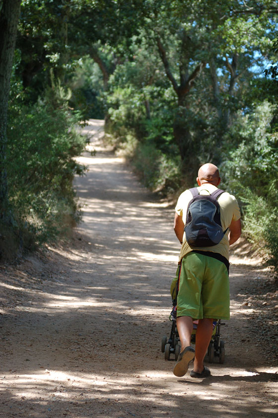 RISERVA NATURALE DELLE BANDITE DI SCARLINO - Cala Violina si può raggiungere a piedi, in bicicletta o a cavallo