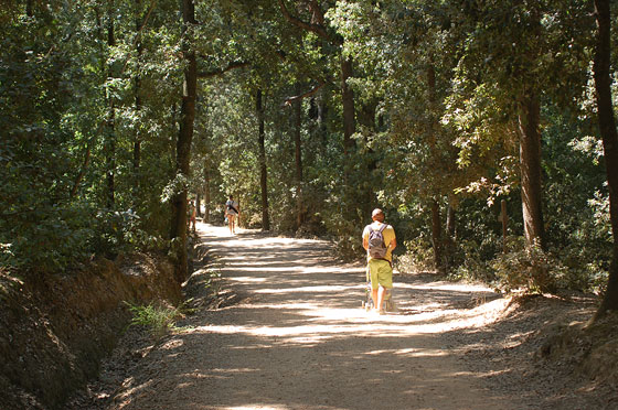 RISERVA NATURALE DELLE BANDITE DI SCARLINO - A piedi per circa 1,5 km per raggiungere la bellissima Cala Violina