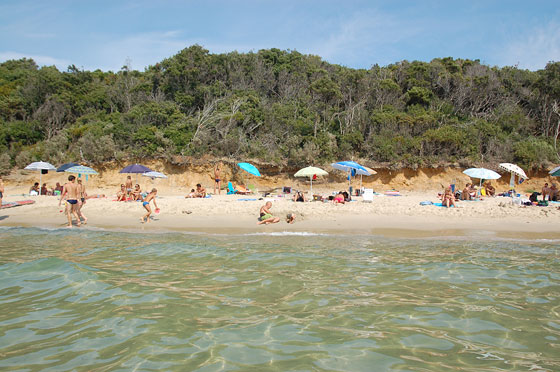 GOLFO DI FOLLONICA - La spiaggia di Cala Violina è chiara e granulosa, composta da piccolissimi granelli di quarzo