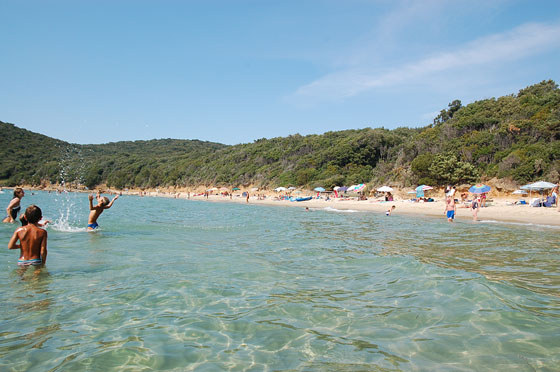 CALA VIOLINA - Le sue acque sono limpidissime ed il panorama è completato dalla fitta macchia mediterranea che arriva fin sulla spiaggia