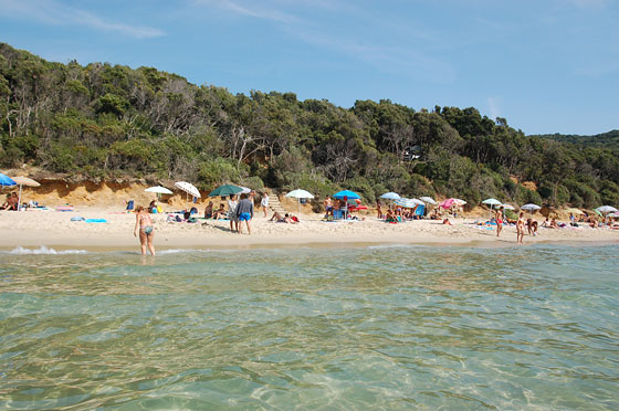 RISERVA NATURALE DELLE BANDITE DI SCARLINO - Cala Violina è selvaggia e priva di stabilimenti balneari, ideale per chi cerca mare e natura e vuole un paesaggio libero dal cemento
