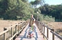 GOLFO DI FOLLONICA. Torre Mozza e La Carbonifera sono spiagge adatte ai bambini piccoli perchè il fondale è basso, l'acqua trasparente e alle spalle ci sono dune costiere ombreggiate dai pini domestici