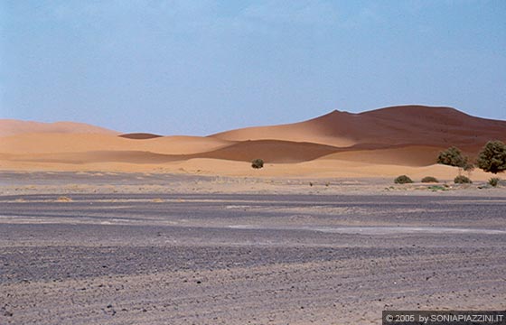 ERG CHEBBI - Le dune di sabbia