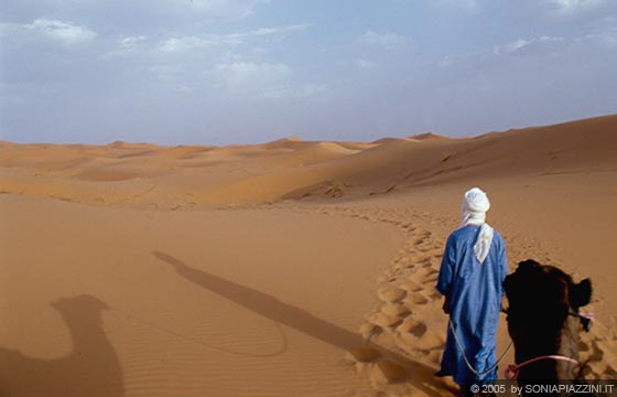 ERG CHEBBI - La spedizione guidata dal 