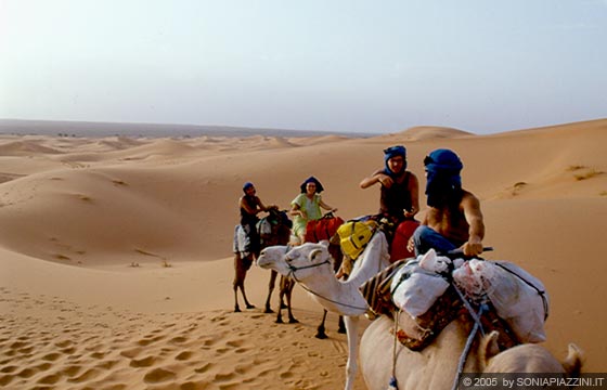 ERG CHEBBI - La carovana diretta verso la tenda berbera dell'accampamento