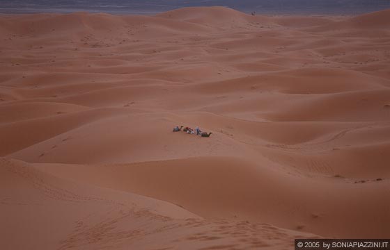ERG CHEBBI - Dune all'imbrunire