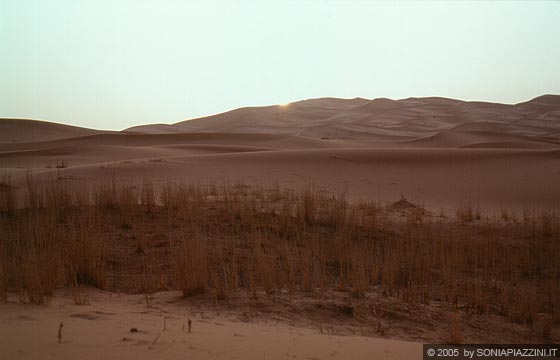 ERG CHEBBI - Il deserto all'alba