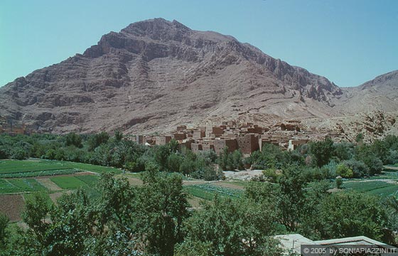 ZONA CENTRALE DEL MAROCCO - REGIONE SUBSAHARIANA - Tipico paesaggio