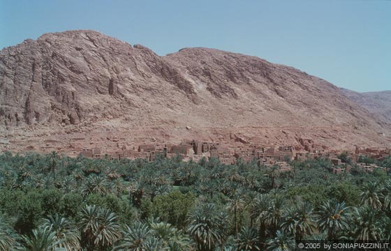 ZONA CENTRALE DEL MAROCCO  - Il fondovalle nei pressi della Gola del Todra caratterizzato da palme e kasbah