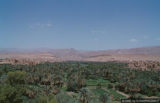 ZONA CENTRALE DEL MAROCCO  - Palmeraie e villaggi berberi caratterizzano il fondovalle nei pressi della Gola del Todra