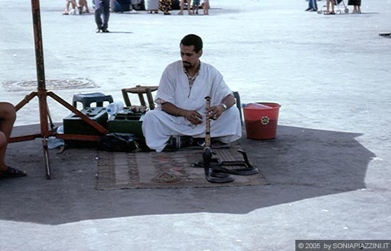 MARRAKESH - Piazza Djemaa el- Fna - incantatore di serpenti