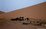 ERG CHEBBI. L'accampamento all'imbrunire