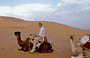 ERG CHEBBI. Francesco con turbante a dorso del cammello 