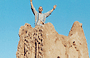 VALLE DEL DADES. Francesco in vetta alla torre della kasbah