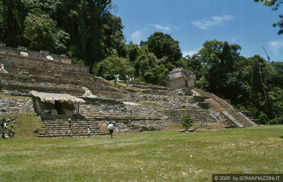 PALENQUE - Verso l'ingresso: la selvaggia vegetazione rende questo sito archeologico ancor più scenografico