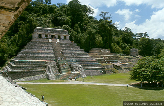 PALENQUE - Vista del Tempio de las Inscripciones dal Palacio