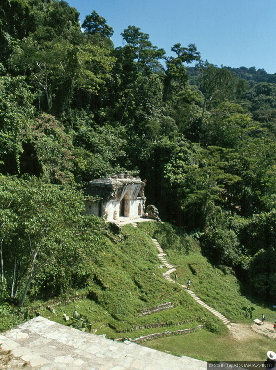 PALENQUE - Le rovine del tempio de la Cruz Foliada si stagliano sulla lussureggiante vegetazione