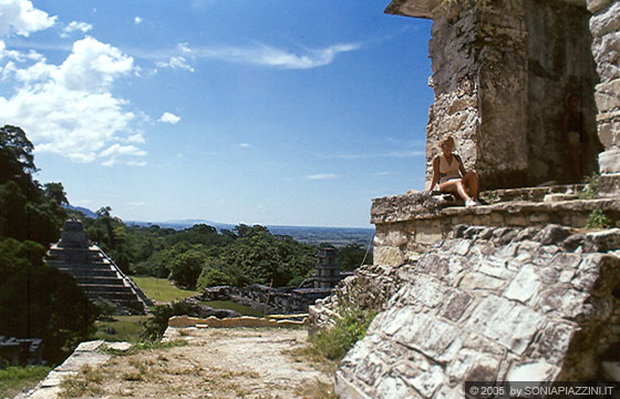 PALENQUE - I cieli blu la folta vegetazione e le pietre dei templi