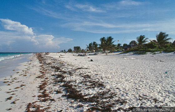 TULUM - La vasta spiaggia