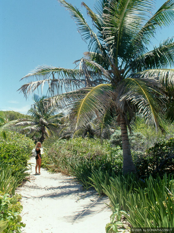 ISLA CONTOIS - Verso l'interno dell'isola per visitare l'osservatorio