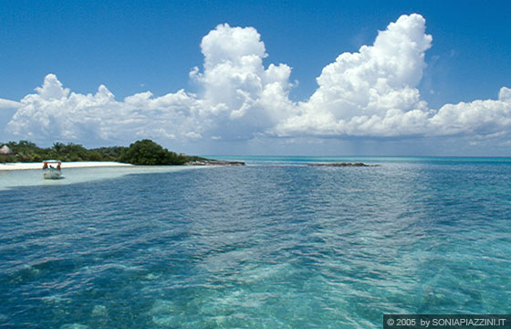 ISLA CONTOIS - Il bellissimo mare 