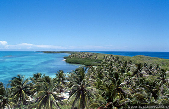 ISLA CONTOIS - Panorama sulla punta - mare turchese e verdi palme 