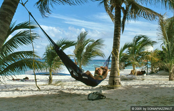 PLAYA DEL CARMEN - Che si fa oggi? Siesta, siesta e ancora siesta!